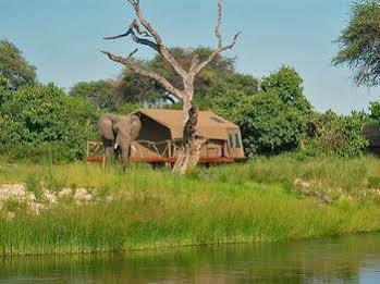 Hôtel Camp Savuti Extérieur photo
